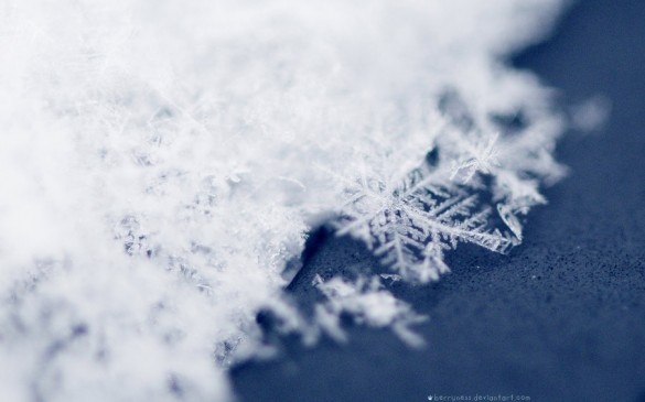 10 Fonds Décran Aux Couleurs De Lhiver Et De Noël