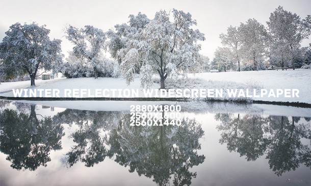 winter_reflection_widescreen_wallpaper_by_solefield-d6xoebk